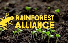 Rainforest Alliance/UTZ